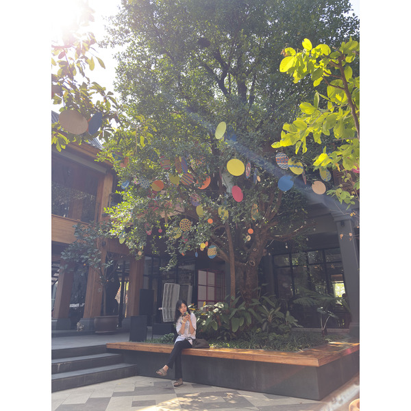 รูปถ่าย ไทย(Thailand) เชียงใหม่(Chiang Mai) หมู่บ้านคาล์ม(KALM Village) 2024-12 38