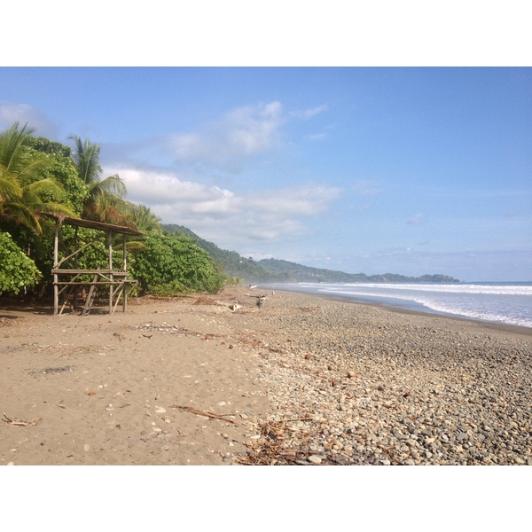 รูปถ่าย คอสตาริกา(Costa Rica) โดมินิกัล(Dominical) 2015-03 157