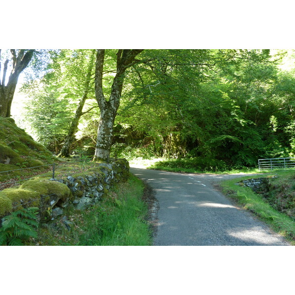 รูปถ่าย อังกฤษ(United Kingdom) สกอตแลนด์(Scotland) เซเลน(Salen) 2011-07 70