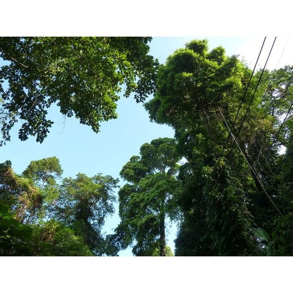รูปถ่าย ไทย(Thailand) เกาะช้าง(Ko Chang) 2011-12 114