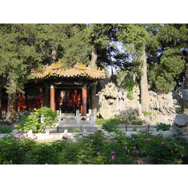 รูปถ่าย จีน(China) ปักกิ่ง(Beijing) พระราชวังต้องห้าม(Forbidden City) 2002-05 105