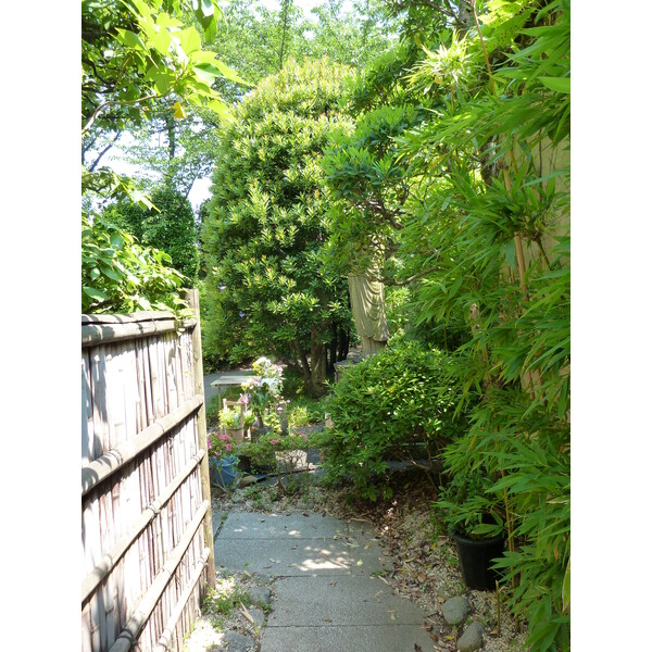 รูปถ่าย ญี่ปุ่น(Japan) โตเกียว(Tokyo) สวนชิบะ(Shiba Park) 2010-06 38