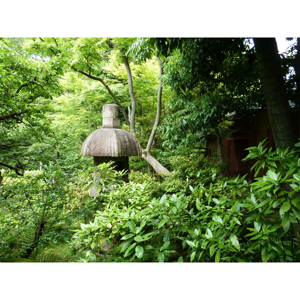 รูปถ่าย ญี่ปุ่น(Japan) โตเกียว(Tokyo) พิพิธภัณฑ์เนซุ(Nezu Museum) 2010-06 97