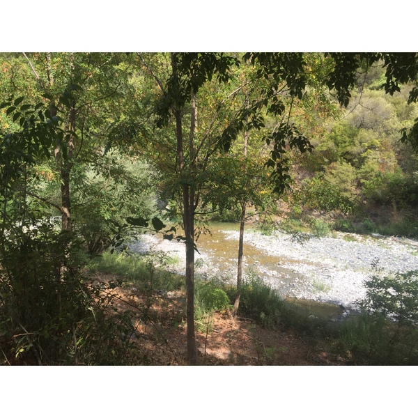 รูปถ่าย ฝรั่งเศส(France) คอร์สิคา(Corsica) ตอกซ์(Tox) 2017-09 12