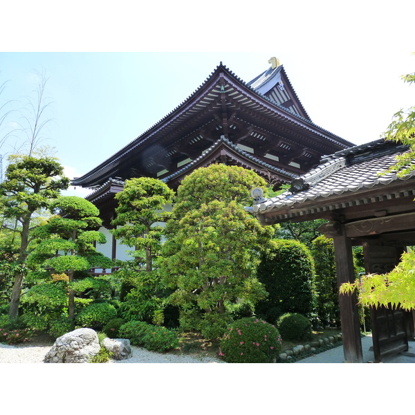 รูปถ่าย ญี่ปุ่น(Japan) โตเกียว(Tokyo) สวนชิบะ(Shiba Park) 2010-06 20