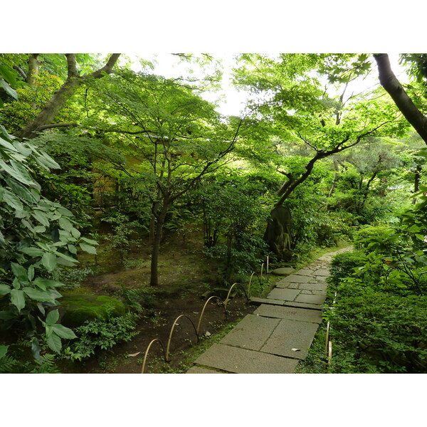 รูปถ่าย ญี่ปุ่น(Japan) โตเกียว(Tokyo) พิพิธภัณฑ์เนซุ(Nezu Museum) 2010-06 38