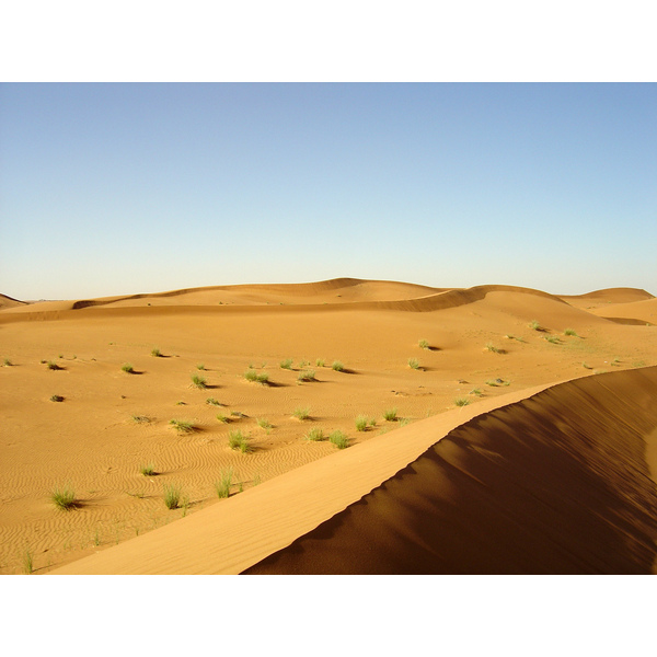รูปถ่าย สหรัฐอาหรับเอมิเรตส์(United Arab Emirates) จากดูไบไปถนนอัลอิน(Dubai to Al Ain road) 2005-03 77