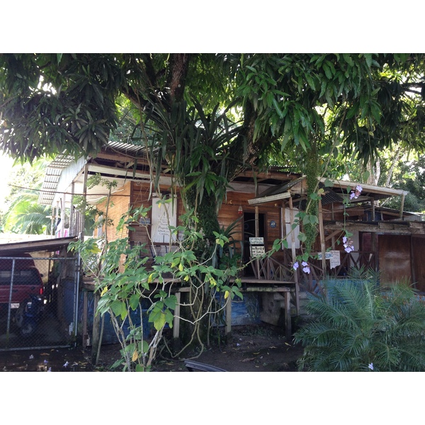 รูปถ่าย คอสตาริกา(Costa Rica) กาอุยตา(Cahuita) 2015-03 120