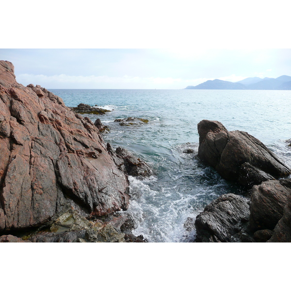 รูปถ่าย ฝรั่งเศส(France) ม็องเดอลีเยอ(Mandelieu) 2008-03 39