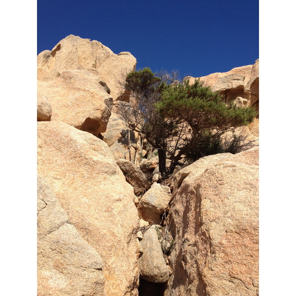 รูปถ่าย อิตาลี(Italy) อ่าวกาลาโกตีชโช(Cala Coticcio) 2012-09 3