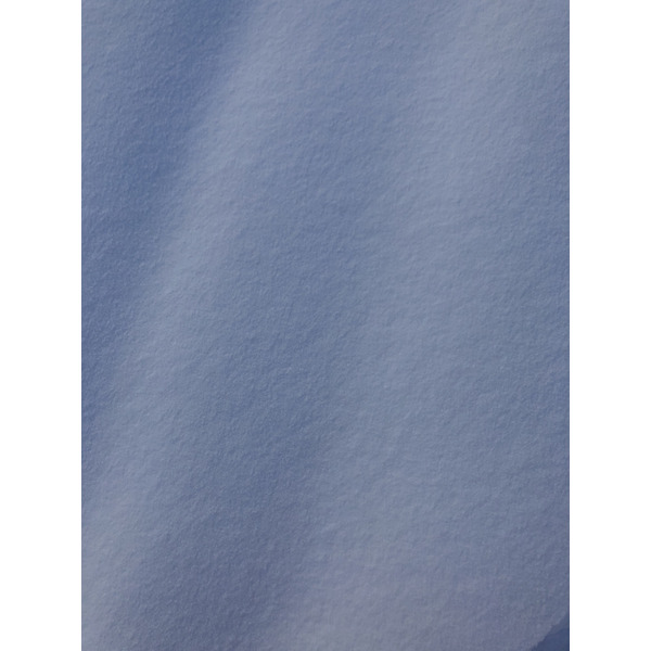 รูปถ่าย ฝรั่งเศส(France) ปรา-ซูร์-อาร์ลี(Praz sur Arly) 2019-12 224