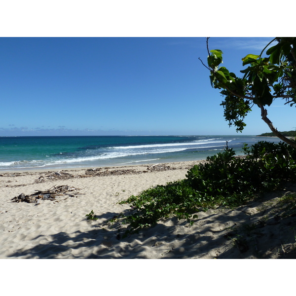 รูปถ่าย ฟิจิ(Fiji) หาดนาตาโดลา(Natadola beach) 2010-05 52
