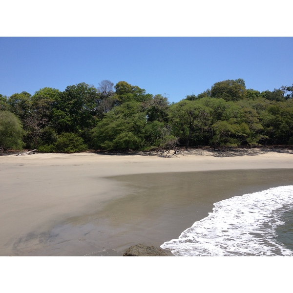 รูปถ่าย คอสตาริกา(Costa Rica) มานวยล์อันโตนีโอ(Manuel Antonio) 2015-03 282