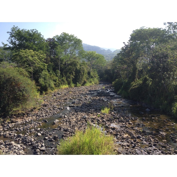 รูปถ่าย คอสตาริกา(Costa Rica) อูบีตา(Uvita) 2015-03 90