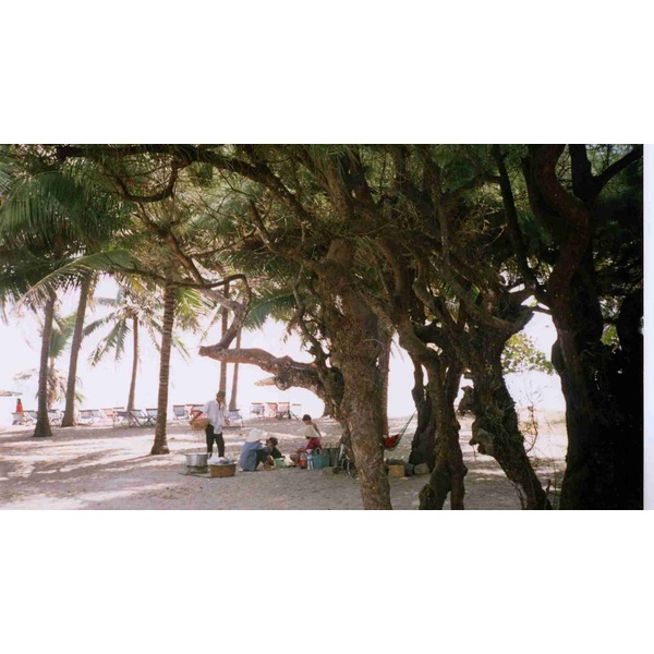 รูปถ่าย เวียดนาม(Vietnam) นาชัง(Nha Trang) 1995-12 32