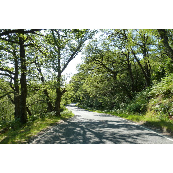 รูปถ่าย อังกฤษ(United Kingdom) สกอตแลนด์(Scotland) เซเลน(Salen) 2011-07 64