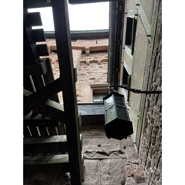 รูปถ่าย ฝรั่งเศส(France) ปราสาทโอ-เคอนิกส์บูร์ก(Koenigsbourg Castle) 2023-10 57