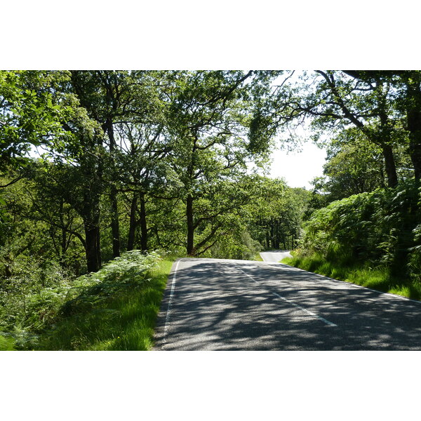 รูปถ่าย อังกฤษ(United Kingdom) สกอตแลนด์(Scotland) เซเลน(Salen) 2011-07 48