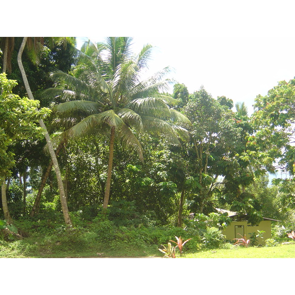 รูปถ่าย เฟรนช์โพลี่นีเซีย(Polynesia) หมู่เกาะมาร์เคซัส(Marquises) 2006-04 162