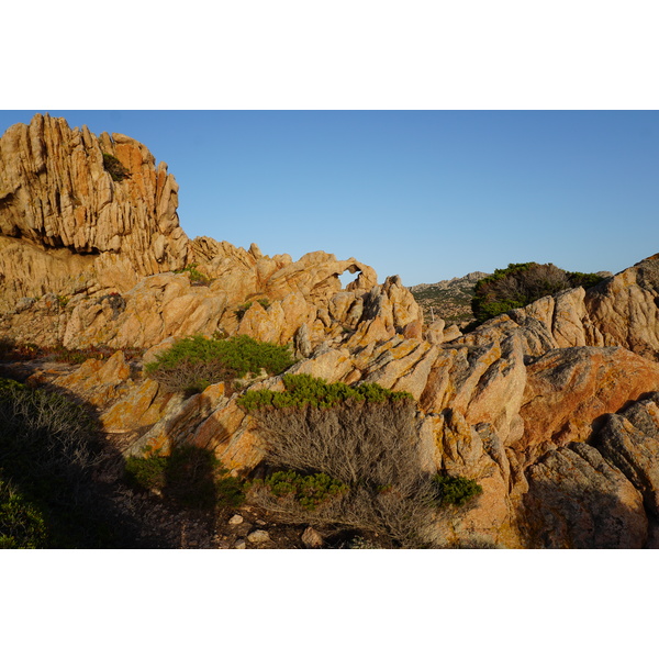 รูปถ่าย ฝรั่งเศส(France) คอร์สิคา(Corsica) หาดตอนนารา(Tonnara Beach) 2017-07 37