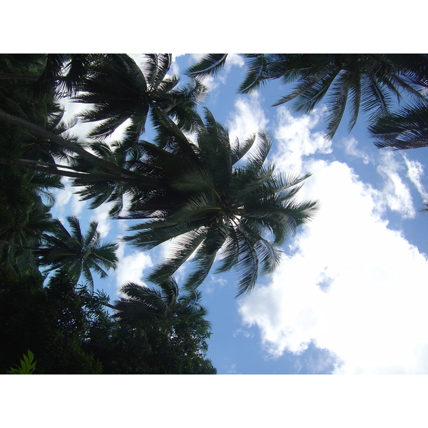 รูปถ่าย เฟรนช์โพลี่นีเซีย(Polynesia) หมู่เกาะมาร์เคซัส(Marquises) 2006-04 126