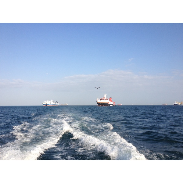 รูปถ่าย ปานามา(Panama) จากปานามาไปหมู่เกาะลัสเปร์ลัส(Panama to Las Perlas) 2015-03 60