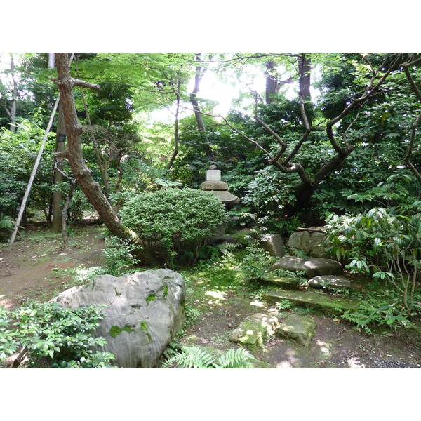 รูปถ่าย ญี่ปุ่น(Japan) โตเกียว(Tokyo) พิพิธภัณฑ์เนซุ(Nezu Museum) 2010-06 94