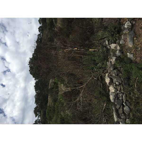 รูปถ่าย ฝรั่งเศส(France) คอร์สิคา(Corsica) ตอกซ์(Tox) 2017-09 13