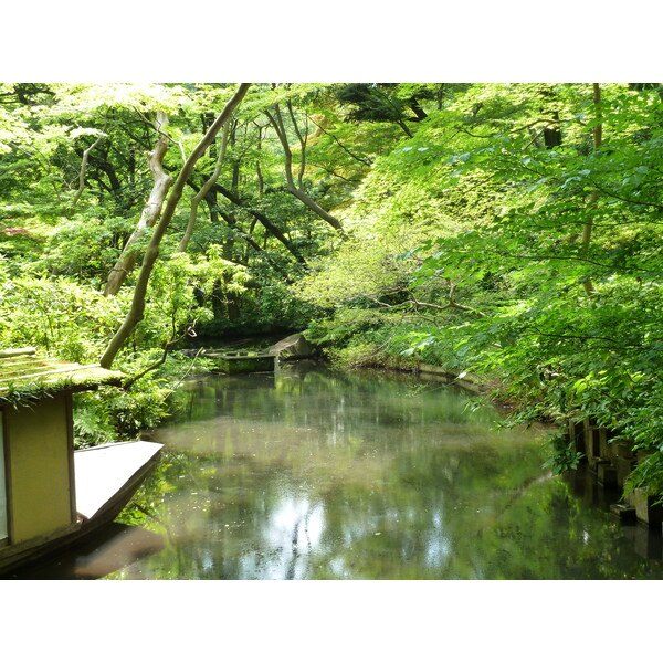 รูปถ่าย ญี่ปุ่น(Japan) โตเกียว(Tokyo) พิพิธภัณฑ์เนซุ(Nezu Museum) 2010-06 85