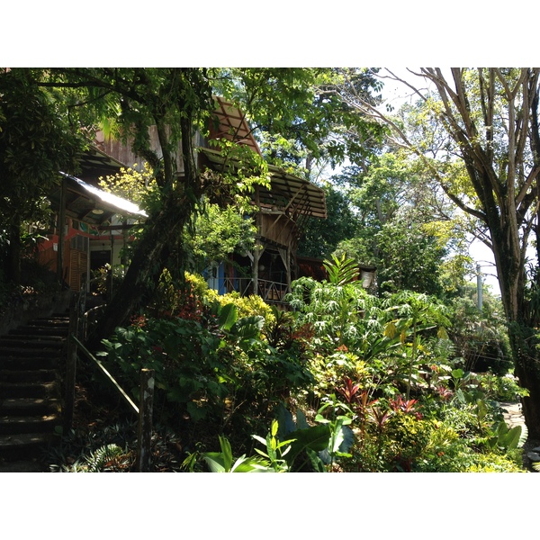 รูปถ่าย คอสตาริกา(Costa Rica) มานวยล์อันโตนีโอ(Manuel Antonio) 2015-03 149