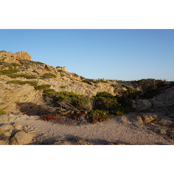รูปถ่าย ฝรั่งเศส(France) คอร์สิคา(Corsica) หาดตอนนารา(Tonnara Beach) 2017-07 12
