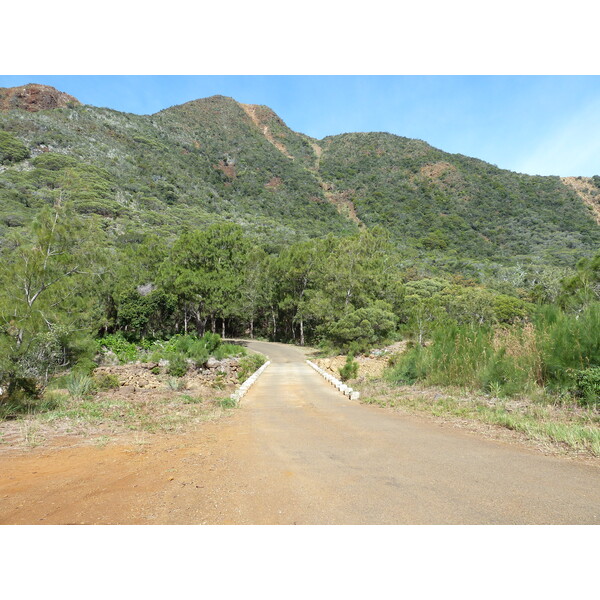รูปถ่าย นิวแคลิโดเนีย(New Caledonia) ทีโอ(Thio) 2010-05 10