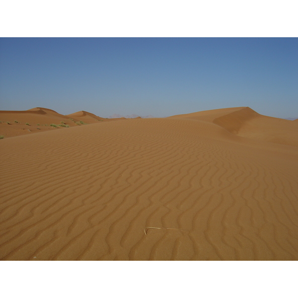รูปถ่าย สหรัฐอาหรับเอมิเรตส์(United Arab Emirates) จากดูไบไปถนนอัลอิน(Dubai to Al Ain road) 2005-03 74