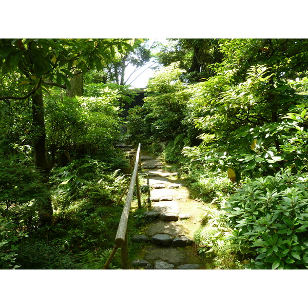 รูปถ่าย ญี่ปุ่น(Japan) โตเกียว(Tokyo) พิพิธภัณฑ์เนซุ(Nezu Museum) 2010-06 88