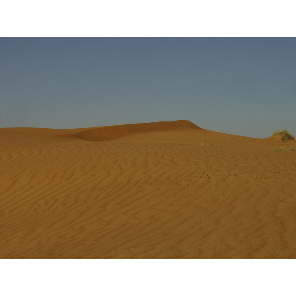 รูปถ่าย สหรัฐอาหรับเอมิเรตส์(United Arab Emirates) จากดูไบไปถนนอัลอิน(Dubai to Al Ain road) 2005-03 71