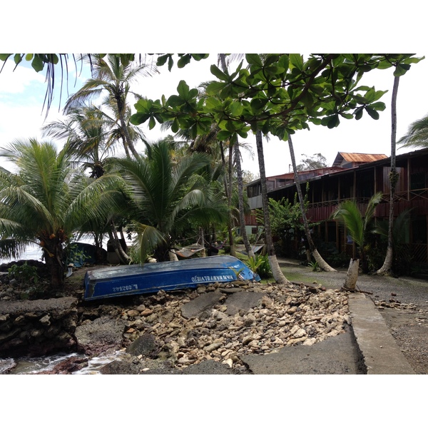 รูปถ่าย คอสตาริกา(Costa Rica) กาอุยตา(Cahuita) 2015-03 115
