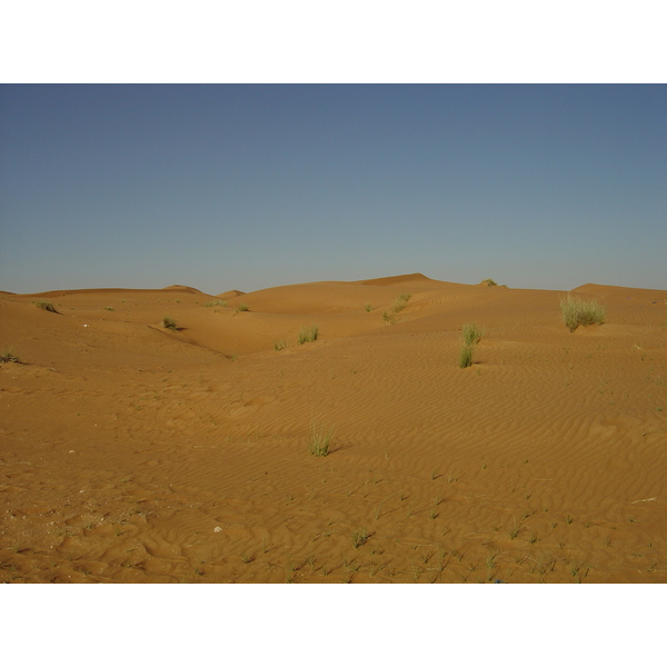 รูปถ่าย สหรัฐอาหรับเอมิเรตส์(United Arab Emirates) จากดูไบไปถนนอัลอิน(Dubai to Al Ain road) 2005-03 11
