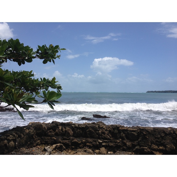 รูปถ่าย คอสตาริกา(Costa Rica) กาอุยตา(Cahuita) 2015-03 196