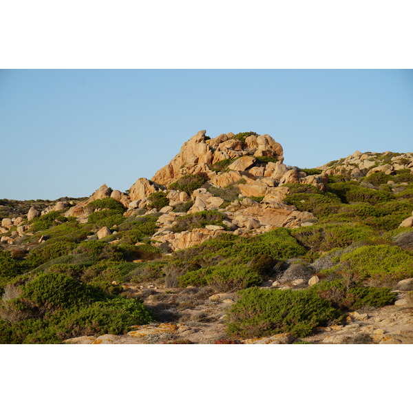รูปถ่าย ฝรั่งเศส(France) คอร์สิคา(Corsica) หาดตอนนารา(Tonnara Beach) 2017-07 5