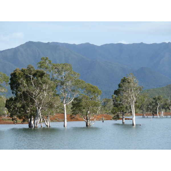 รูปถ่าย นิวแคลิโดเนีย(New Caledonia) 2010-05 80