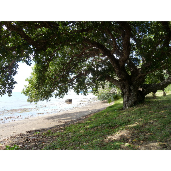 รูปถ่าย นิวแคลิโดเนีย(New Caledonia) ทีโอ(Thio) 2010-05 5