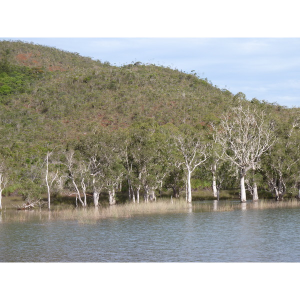 รูปถ่าย นิวแคลิโดเนีย(New Caledonia) อุทยานริเวียร์เบลอ(Parc de la Riviere Bleue) 2010-05 92