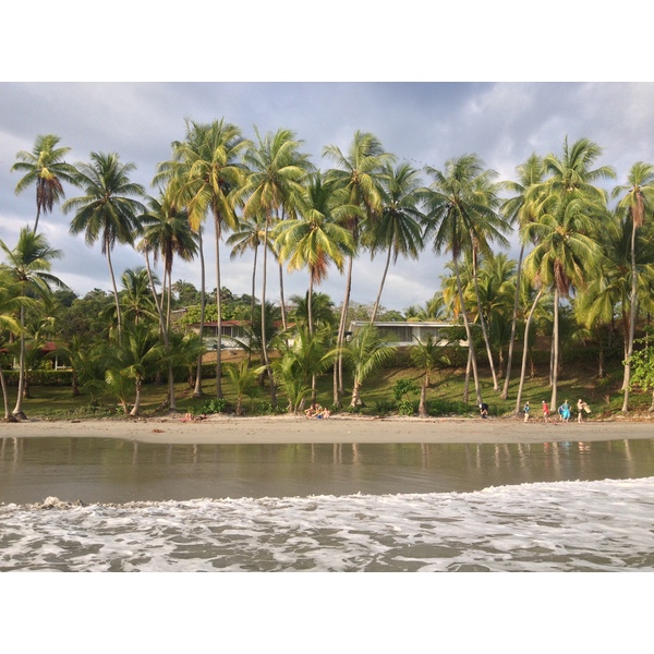 รูปถ่าย คอสตาริกา(Costa Rica) มานวยล์อันโตนีโอ(Manuel Antonio) 2015-03 343