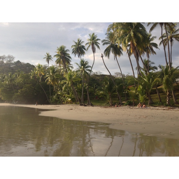 รูปถ่าย คอสตาริกา(Costa Rica) มานวยล์อันโตนีโอ(Manuel Antonio) 2015-03 251
