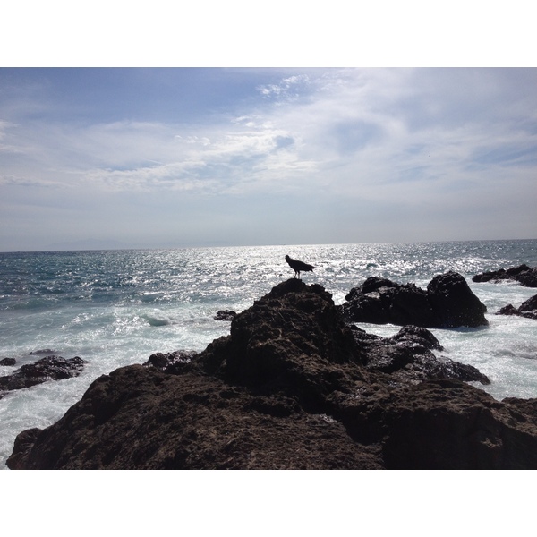 รูปถ่าย คอสตาริกา(Costa Rica) มอนเตซูมา(Montezuma) 2015-03 573