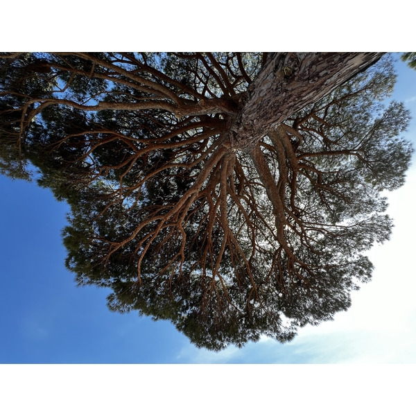 รูปถ่าย ฝรั่งเศส(France) คอร์สิคา(Corsica) หาดปินาเรลลู(Pinarellu Beach) 2024-05 32