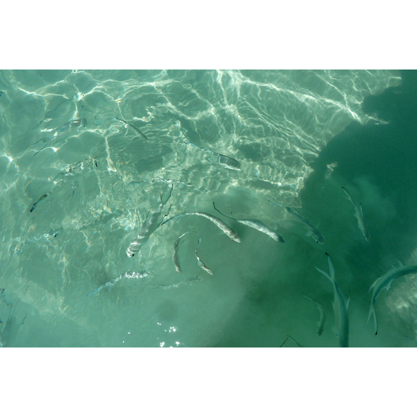 รูปถ่าย เซเชลส์(Seychelles) อ่าวอ็องส์ลาซิโอ(Anse Lazio) 2011-10 152