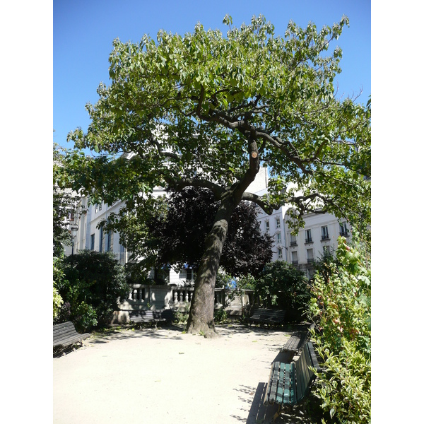 รูปถ่าย ฝรั่งเศส(France) ปารีส(Paris) ถนนลาฟาแย็ต(Rue La Fayette) 2007-08 147