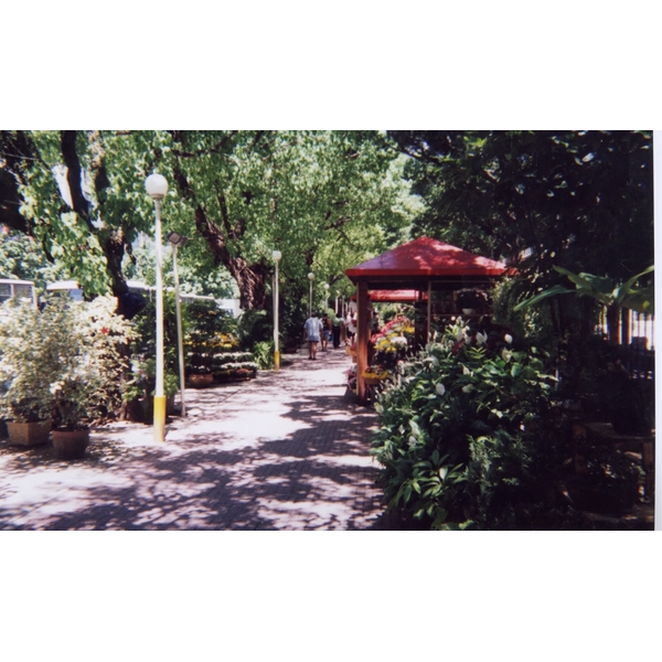 รูปถ่าย บราซิล(Brazil) ริโอ(Rio) 1999-01 4