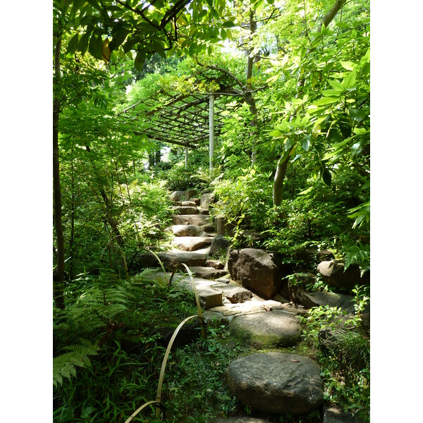 รูปถ่าย ญี่ปุ่น(Japan) โตเกียว(Tokyo) พิพิธภัณฑ์เนซุ(Nezu Museum) 2010-06 59